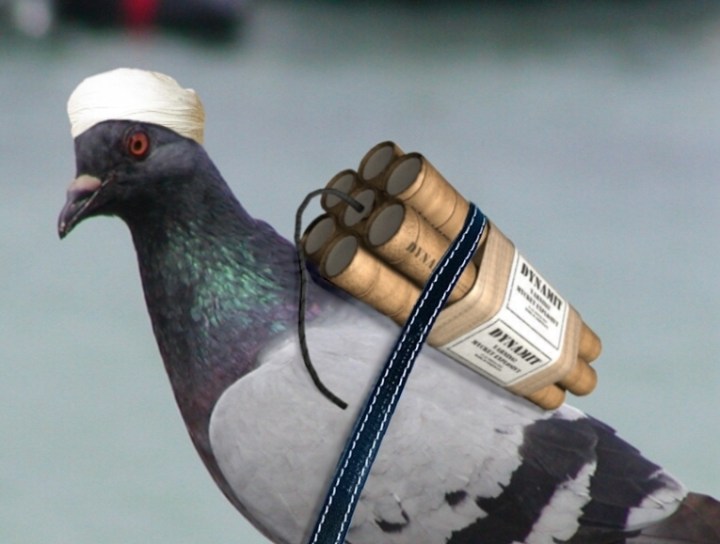 Suicide-Bomber-15424