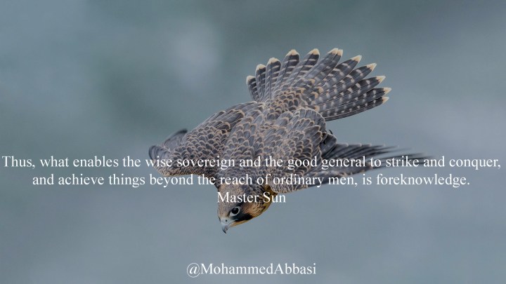 13 The Falcon Peregrine.jpg